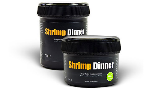Shrimp Dinner