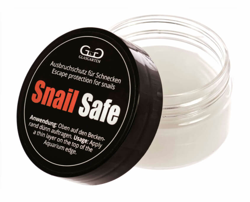 GlasGarten Snail Safe :: Escape protection for aquarium snails