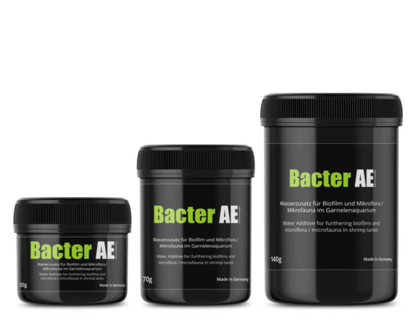 GlasGarten Bacter AE :: Water additive, Shrimp Feed