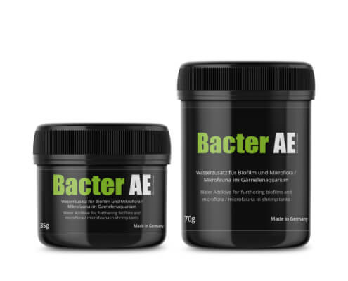 GlasGarten Bacter AE :: Water additive, Shrimp Feed