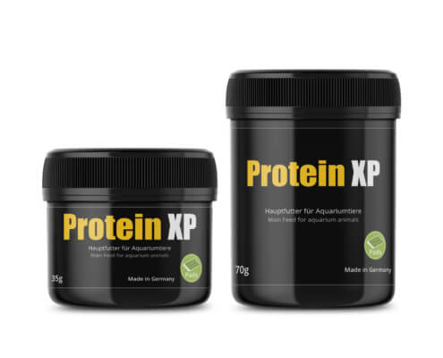 GlasGarten Protein XP :: Protein feed for Aquarium animals