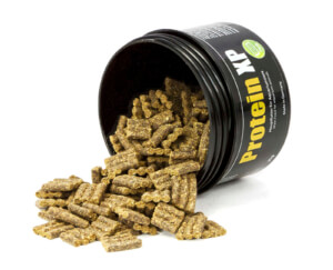 GlasGarten Protein XP :: Shrimp Feed, Pads