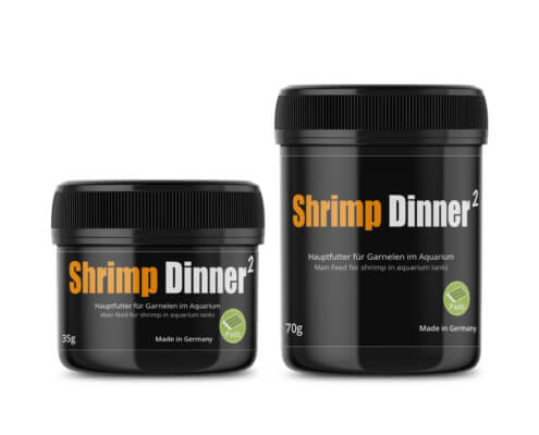 GlasGarten Shrimp Dinner 2 :: Shrimp Feed