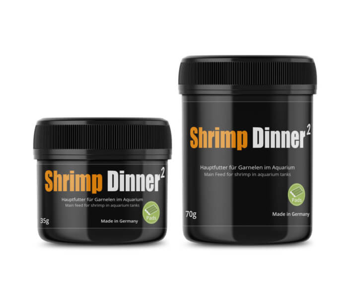 GlasGarten Shrimp Dinner 2 :: Shrimp Feed