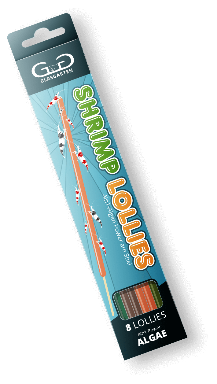 GlasGarten Shrimp Lollies - 4in1 Algen