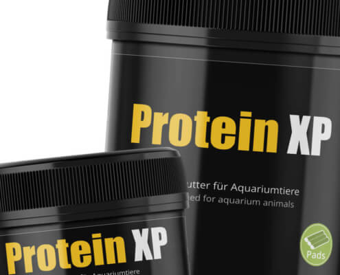 GlasGarten :: Protein XP